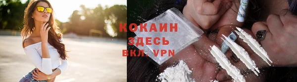мет Каменка