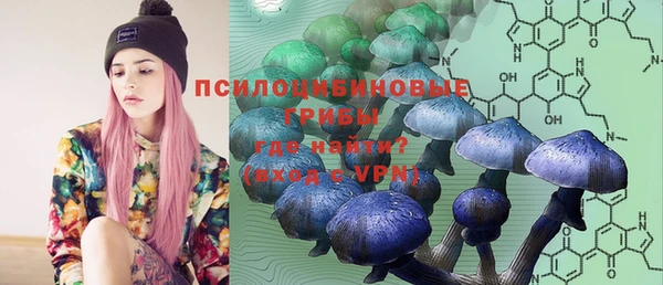 синтетический гашиш Каменногорск