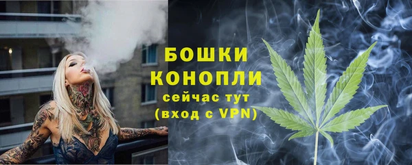 мет Каменка