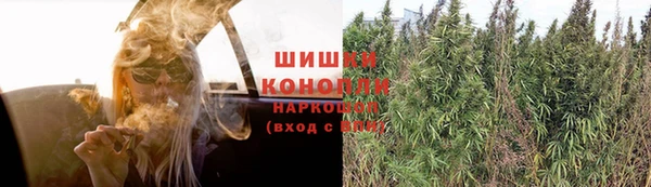 СК Каменск-Шахтинский