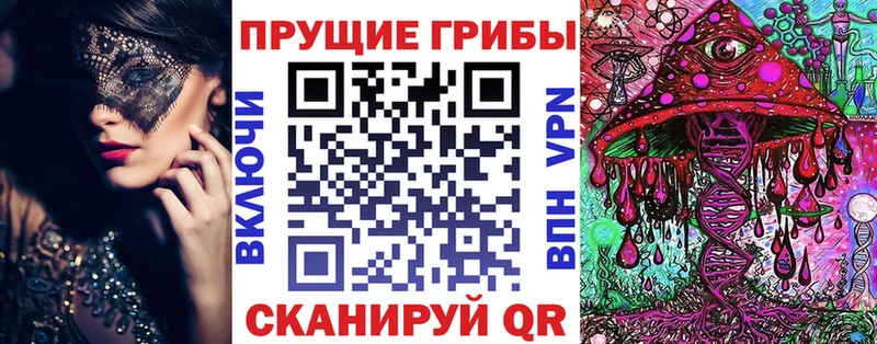 что такое наркотик  Грозный  Галлюциногенные грибы ЛСД 