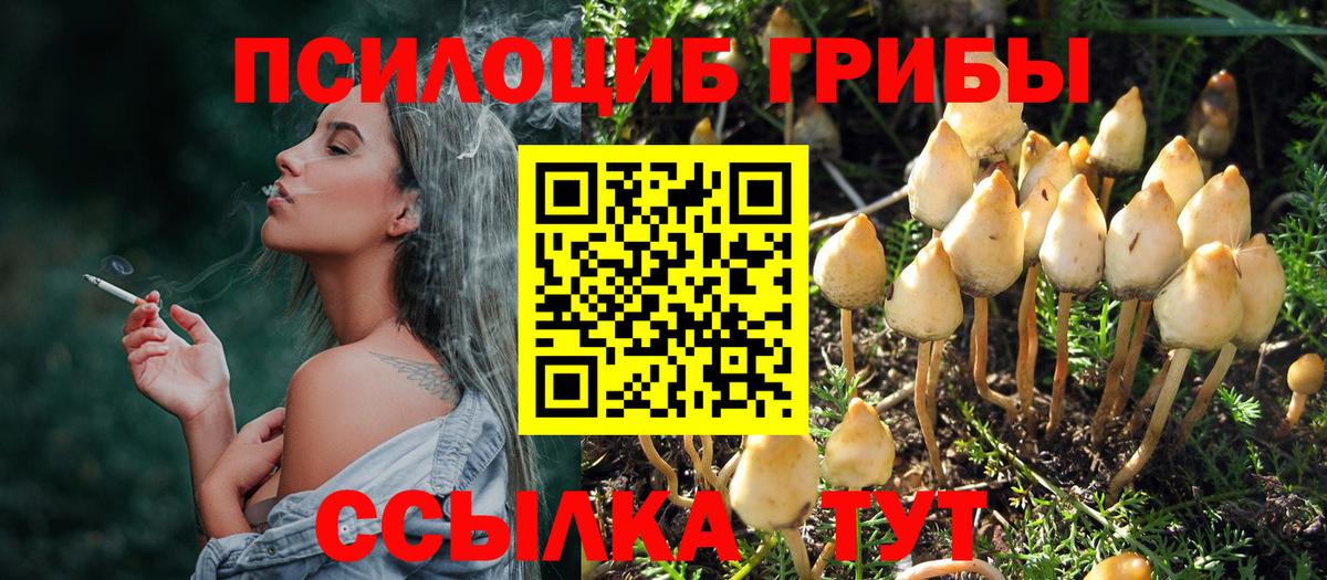 Псилоцибиновые грибы Cubensis  Грозный 