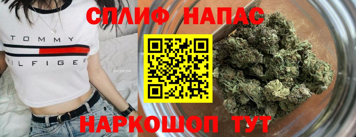 Каннабис индика Грозный
